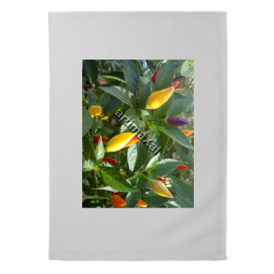 chilis - 100% Cotton Tea Towel (Same Day) Thumbnail